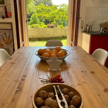 Daire Francigena House *