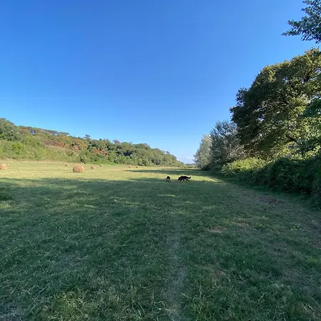 Francigena House Daire Roma