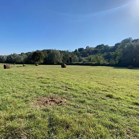 Daire Francigena House Roma